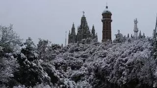 Un año de la nevada en Barcelona: así amaneció Collserola el 26 de febrero de 2023