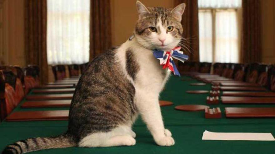 El gato Larry &#039;eclipsa&#039; por un momento a May en Downing Street