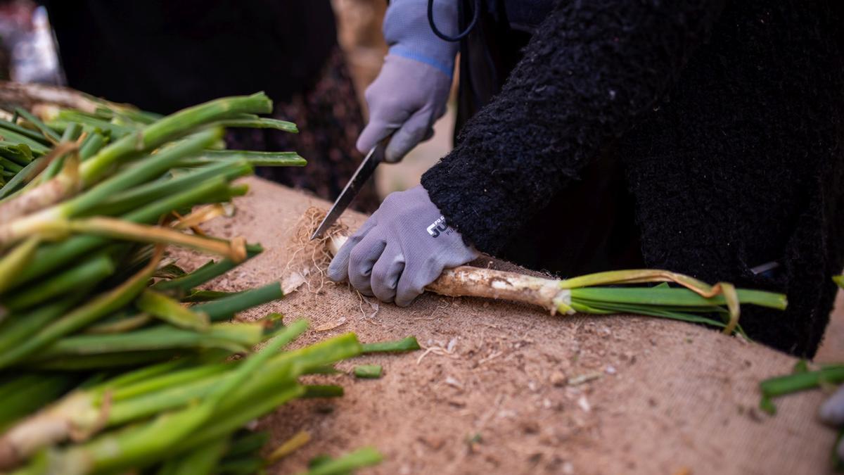 Gran Festa de la Calçotada de Valls