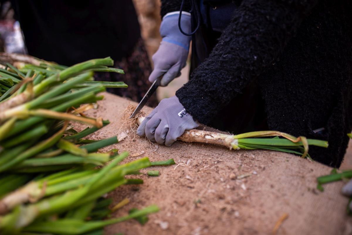 Cultura i Agricultura