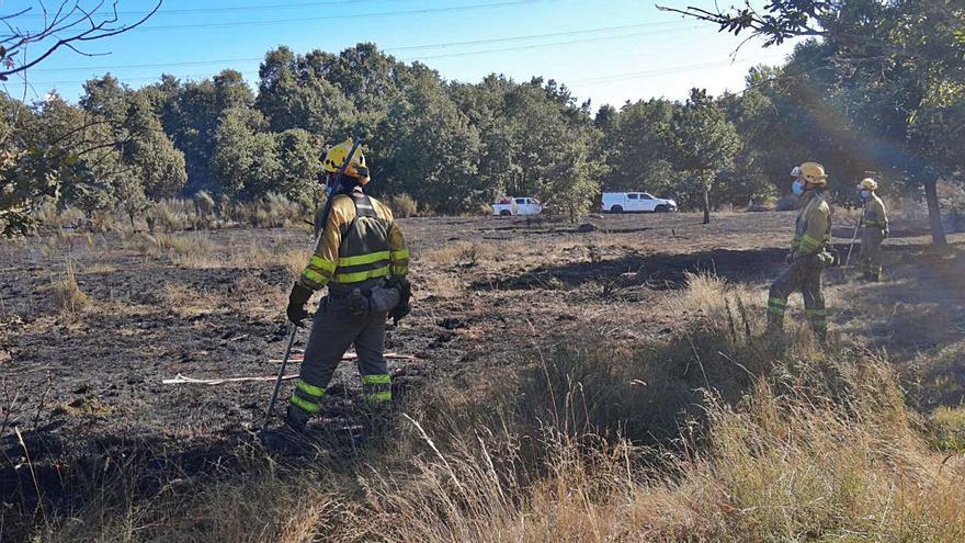 La rápida intervención de los medios evita que un incendio abrase un colmenar y castaños en Castro