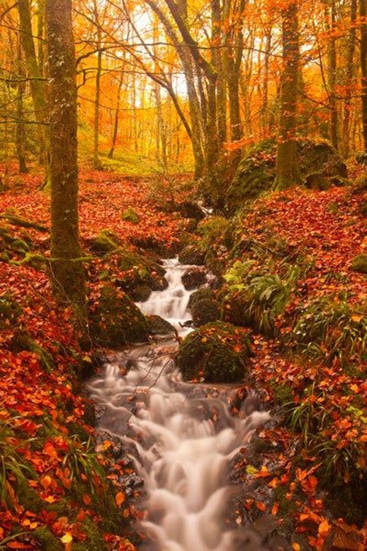 Parque Nacional de Dartmoor, en Devon (Inglaterra).