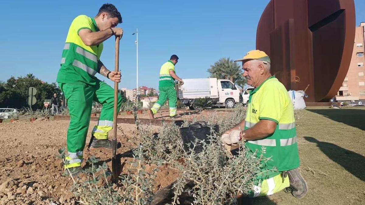 Trabajadores de Parques y Jardines en Murcia (ARCHIVO).