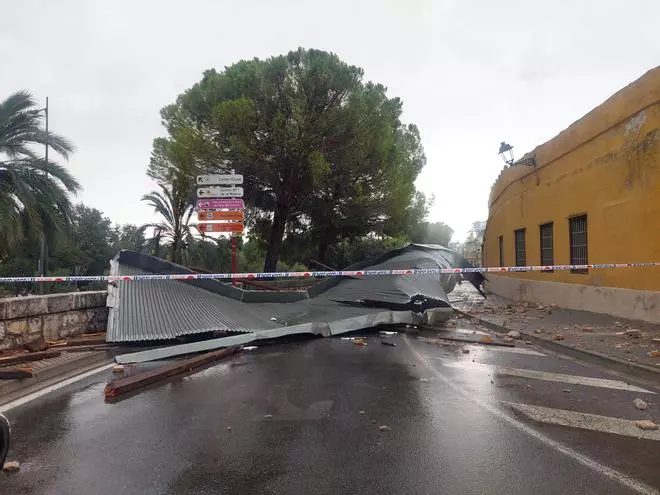 Rachas de hasta 90 km/h arrancan el techo del almacén municipal y tumban algunos árboles en Alzira