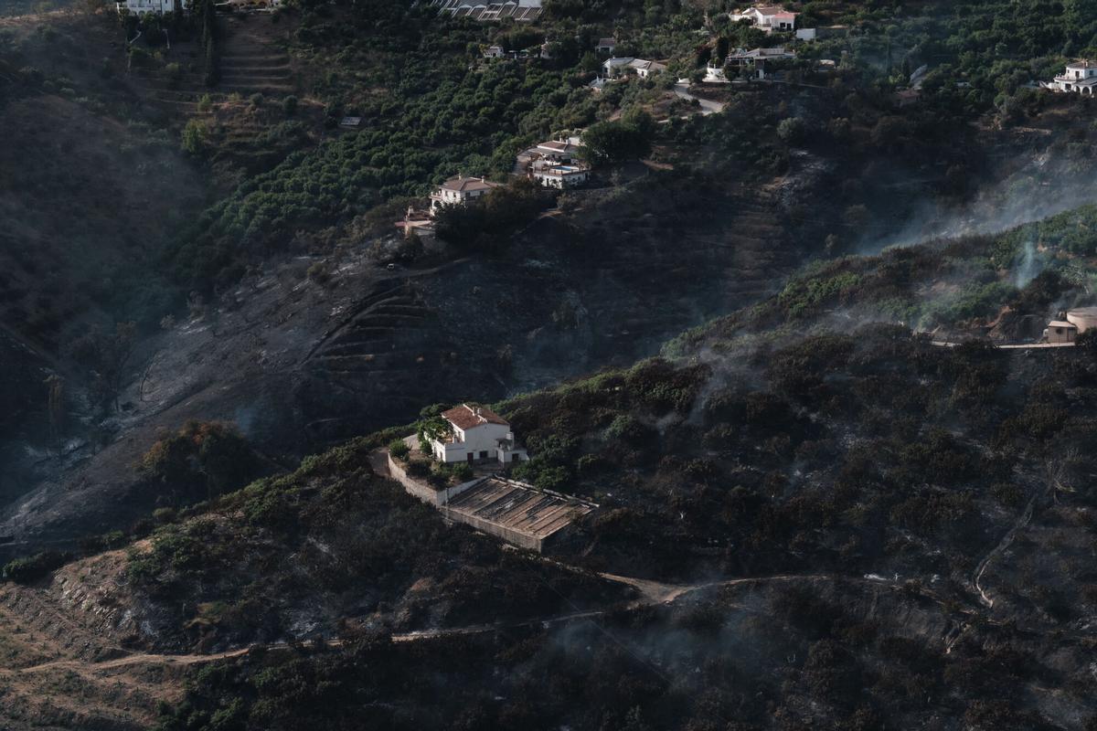 Superficie calcinada por el incendio forestal declarado en el mediodía de este viernes, 17 de julio de 2026.