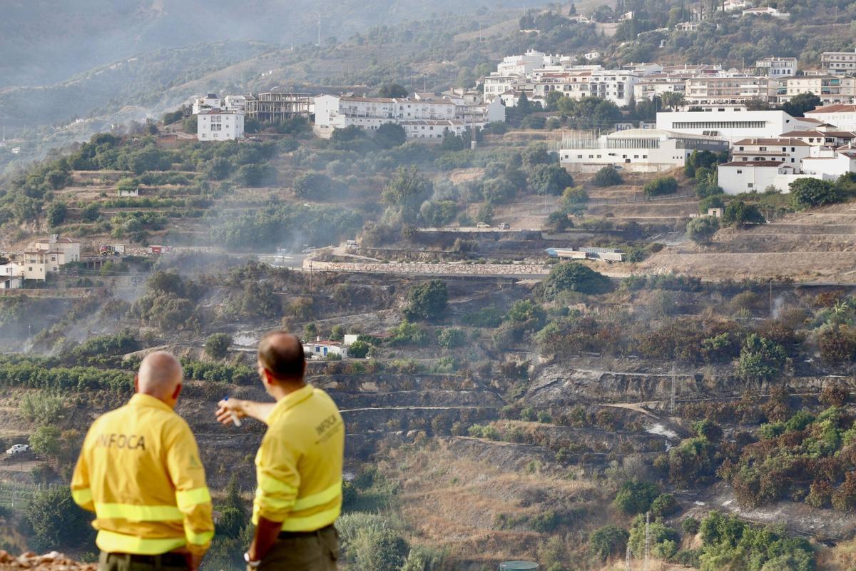 El Infoca lucha contra el incendio forestal declarado este viernes a mediodía en el término municipal de Árchez y que ha obligado a desalojar viviendas de diseminados de Árchez y Cómpeta. En este último municipio se ha instalado el puesto de mando para coordinar las labores de extinción, en la que participan una docena de medios aéreos y casi 150 bomberos forestales.