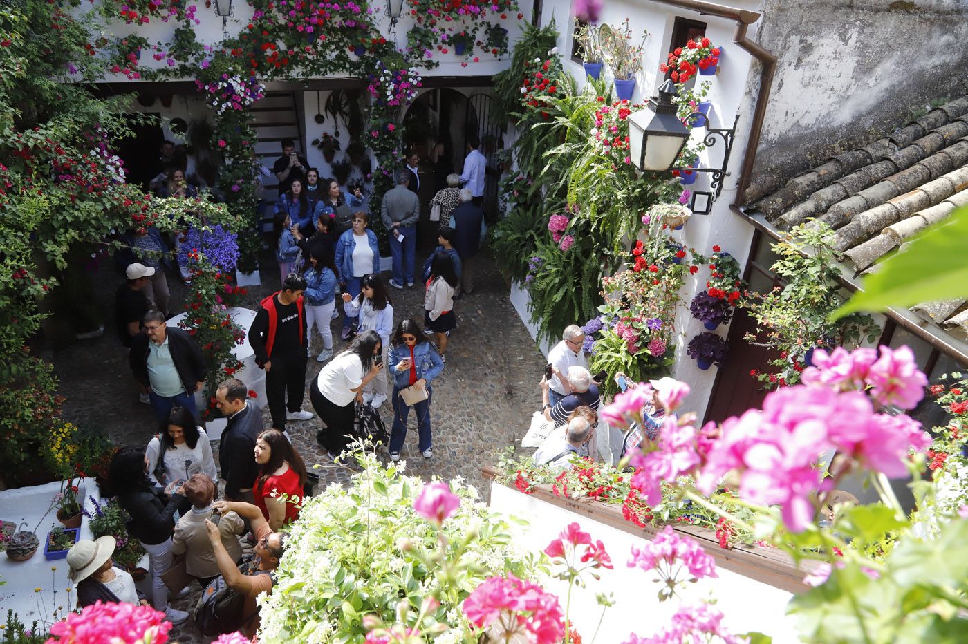 Patios de Córdoba: San Basilio 44