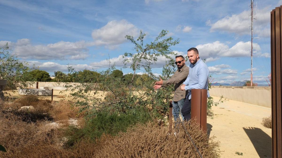 Ediles de Compromís, en la fortaleza, llena de maleza