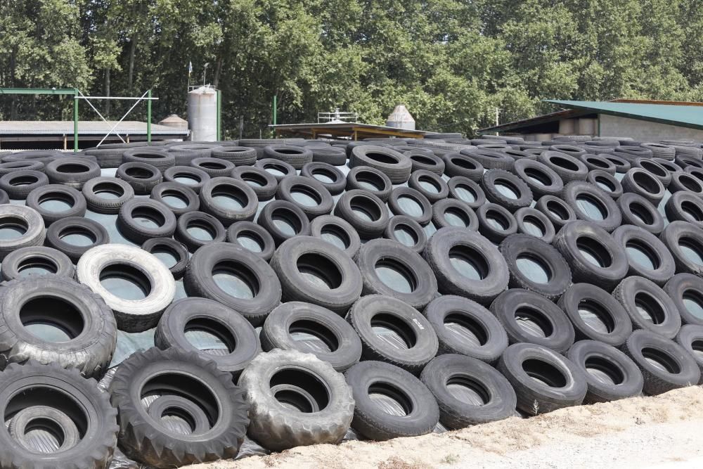 Abocador il·legal de pneumàtics a Bescanó