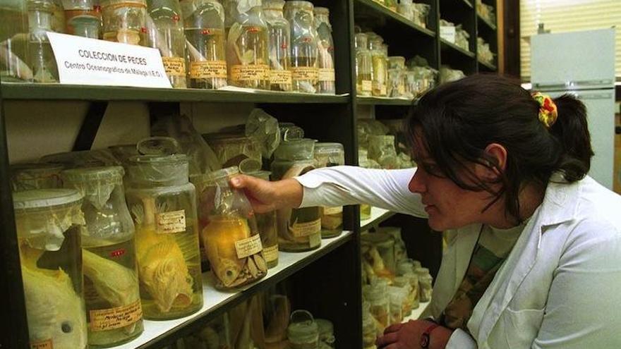 Laboratorio del Centro Oceanográfico.