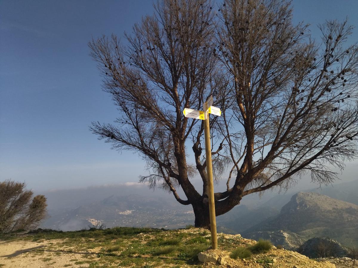 Desolación, erosión y bandadas de cuervos en las laderas del Coll de Rates arrasadas hace 8 meses por el fuego (imágenes) Desolación, erosión y bandadas de cuervos en las laderas del Coll de Rates arrasadas hace 8 meses por el fuego (imágenes)
