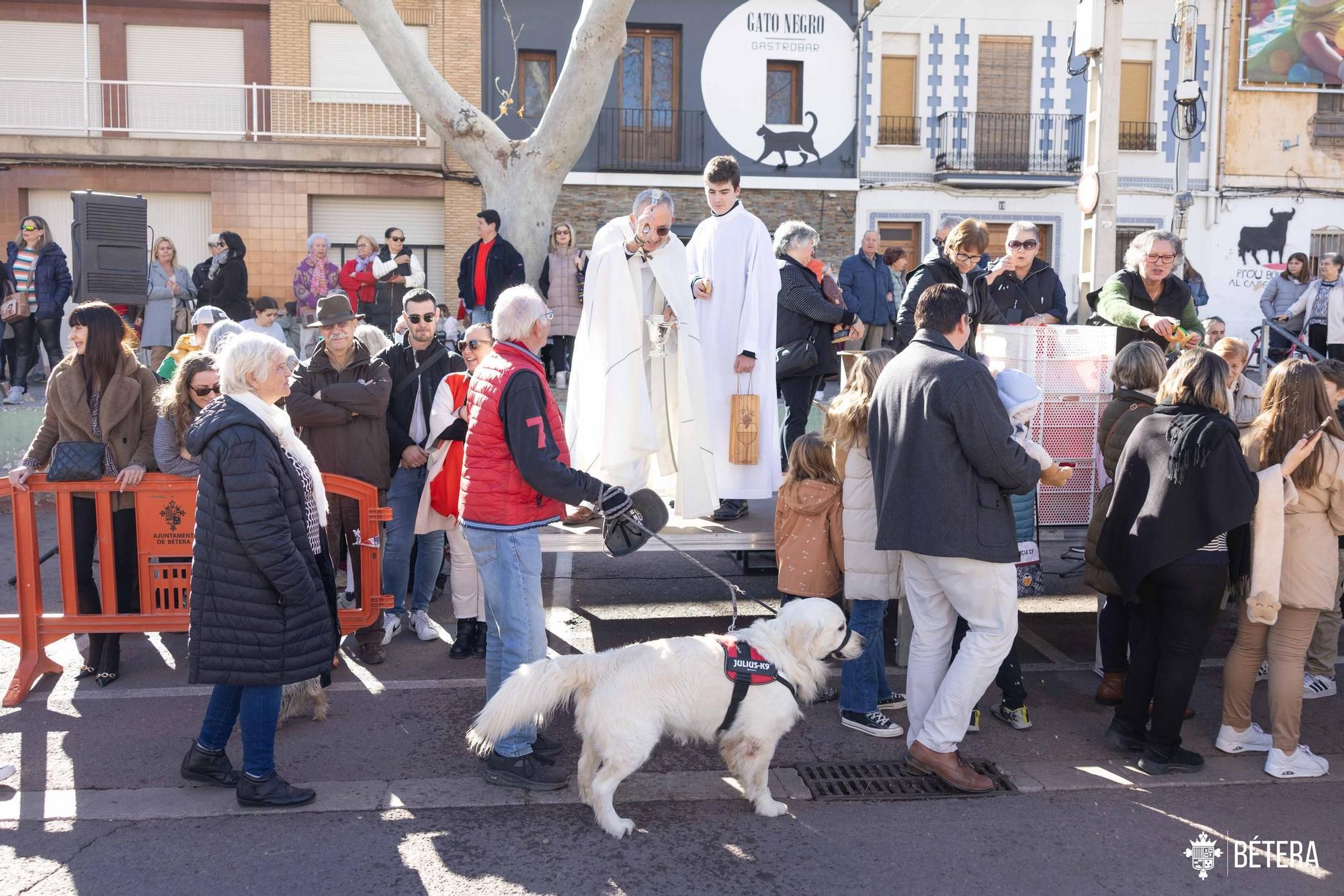 La bendición de los animales de Bétera por Sant Antoni.