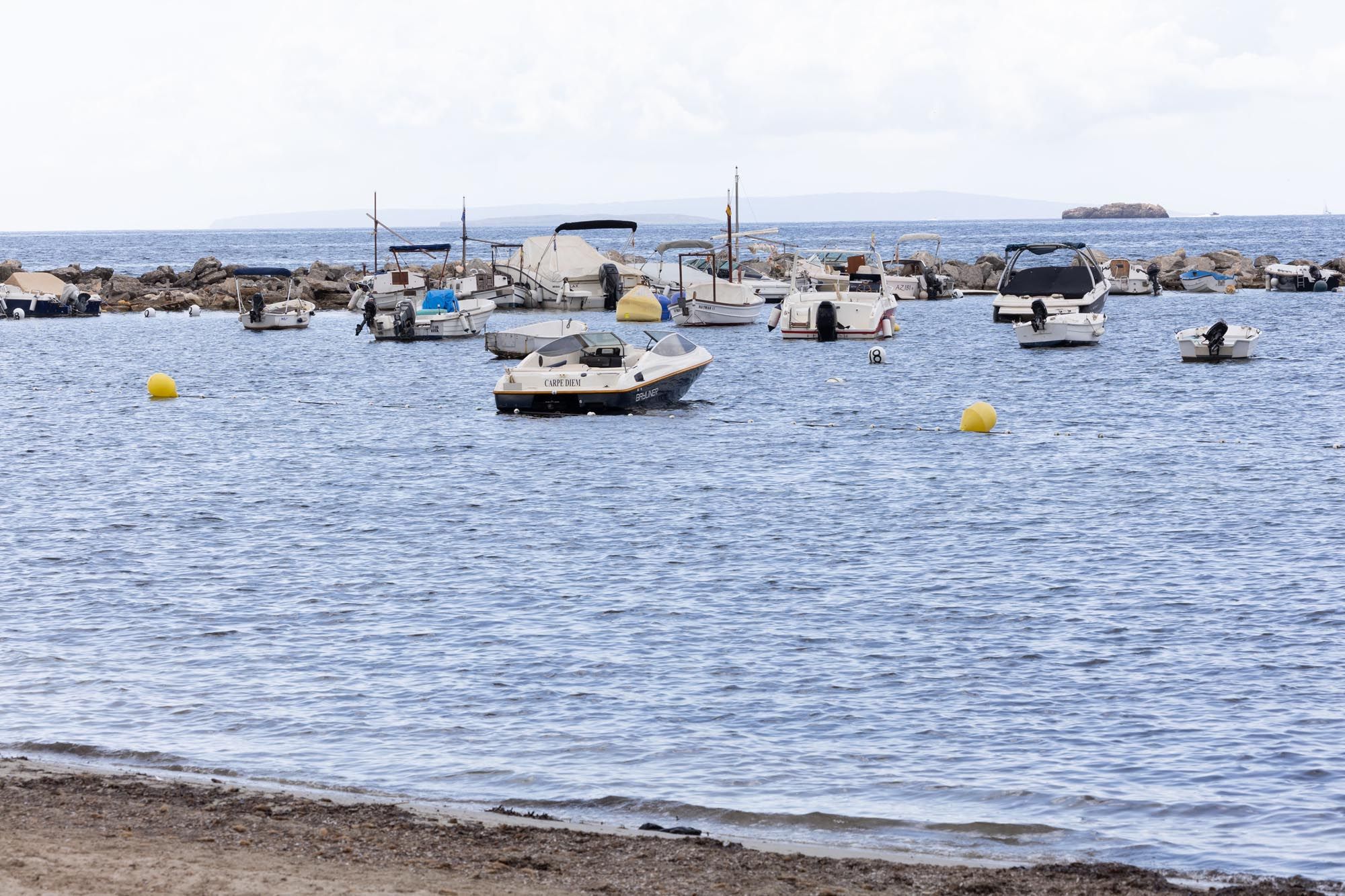 Puesta a punto de la playa de es Viver