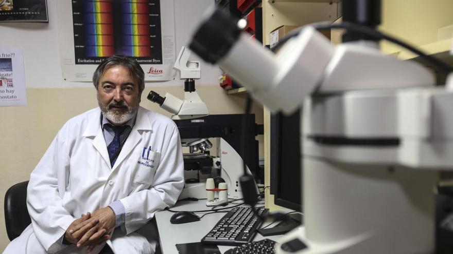 Salvador Martínez en el Instituto de Neurociencias en una imagen de archivo.