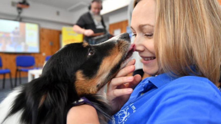 Múltiples son las razones para tener un perro o, en general, una mascota en la familia, pero existen riesgos evidentes como humanizar o cosificar al animal.