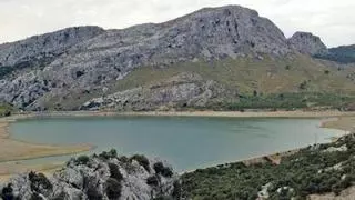 Las lluvias y nevadas se notan en los embalses de Mallorca: este es el nivel que presentan Gorg Blau y Cúber