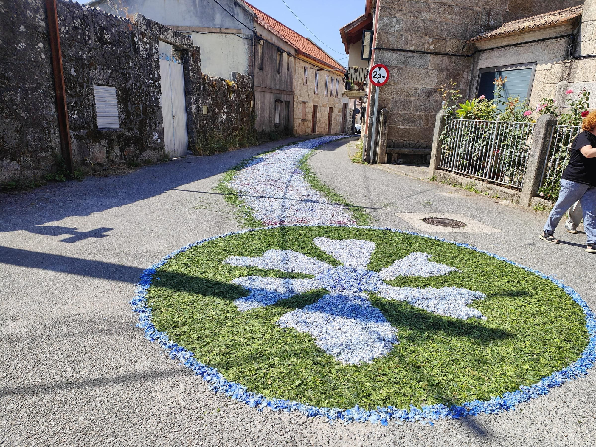 El Corpus Christi de San Martiño en Moaña