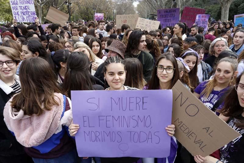 Manifestación de los estudiantes en Valencia contra el pin parental