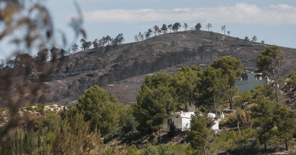 La zona quemada en Altura