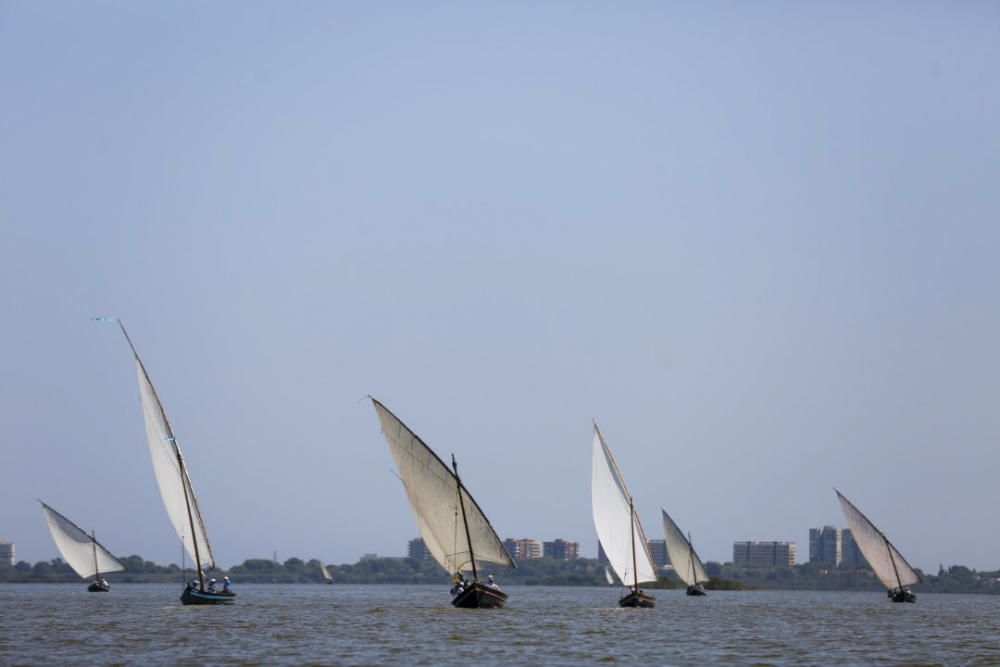 Regata-exhibición de vela latina en l'Albufera