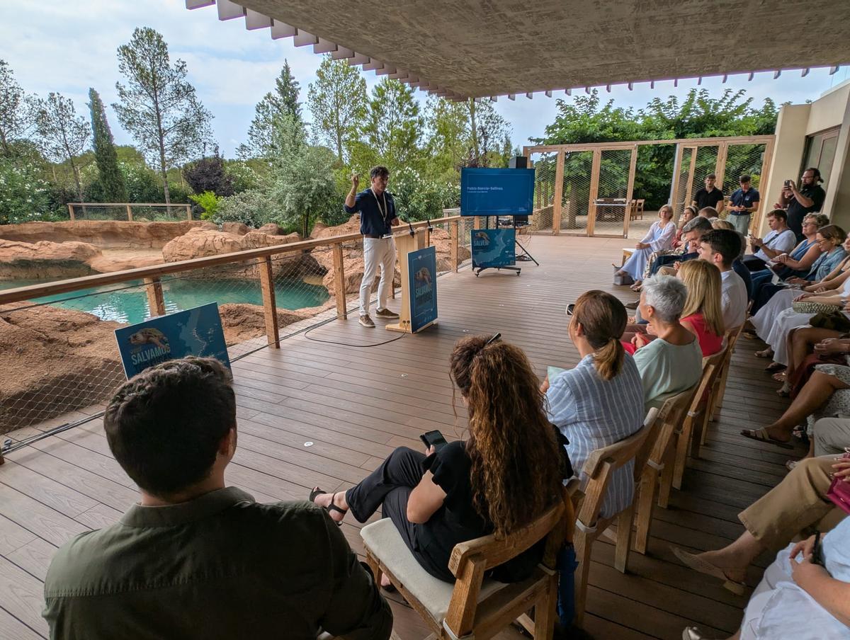 GALERÍA I La presentación de la nueva campaña para rescatar tortugas marinas, en imágenes