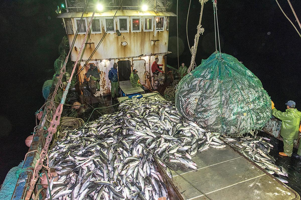 La dependencia europea de los mercados ilegales de pescado