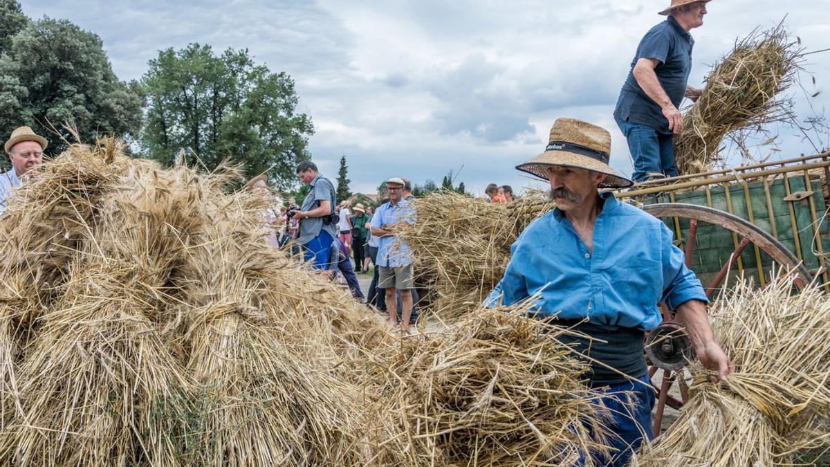 Un moment de la festa del 2019,  l’última que s’ha fet sense restriccions per la covid | ARXIU/ALEIX CAMPRUBÍ