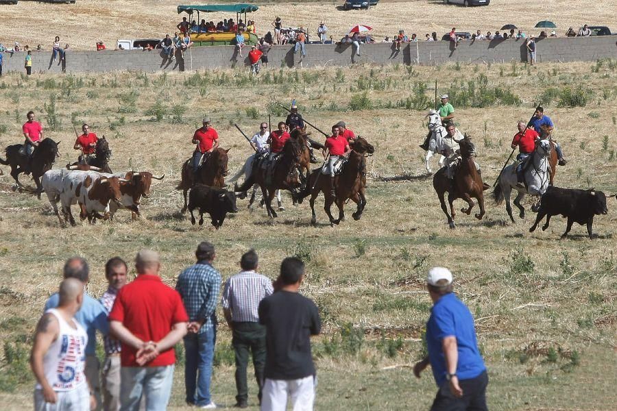 Fiestas en Zamora: Segudos espantes de Fuentesaúco