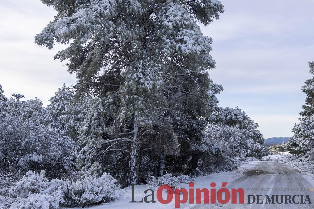 Descubre dónde queda acumulación de nieve en la Región de Murcia
