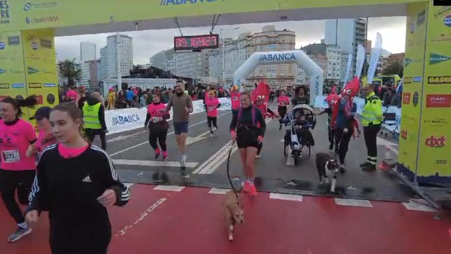 San Silvestre A Coruña 2023: la carrera popular más 'animalada'