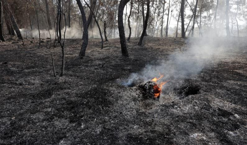 Incendi a Artés