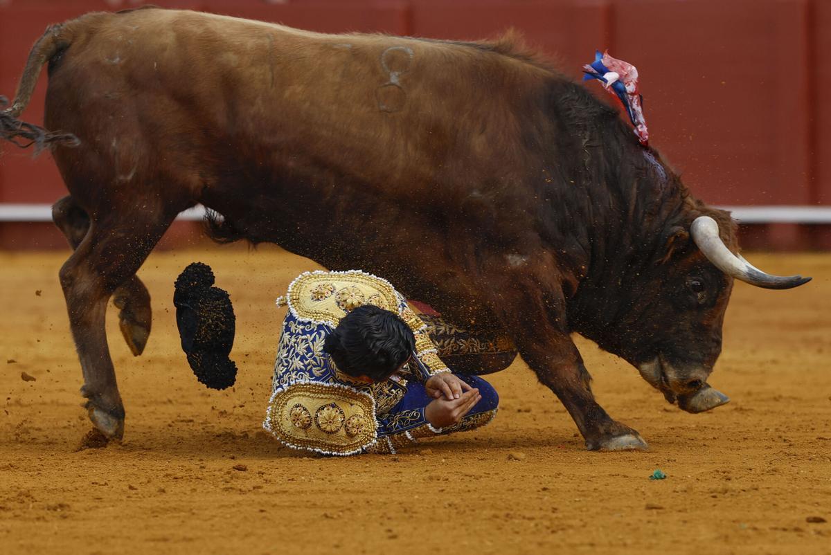 El diestro Morante de la Puebla sufre una cogida durante la novena corrida de la Feria de Abri.