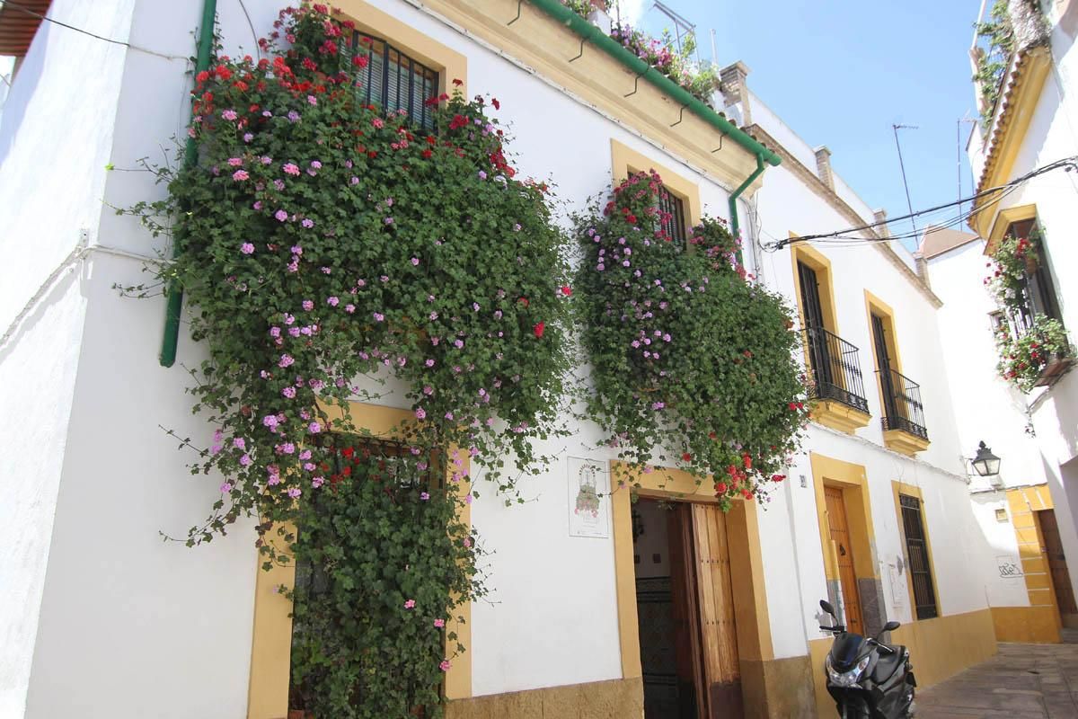 Fotogalería / Concurso municipal de Rejas y Balcones