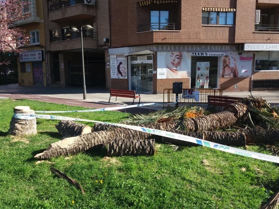 Incidencias en la Comunitat Valenciana por el fuerte viento