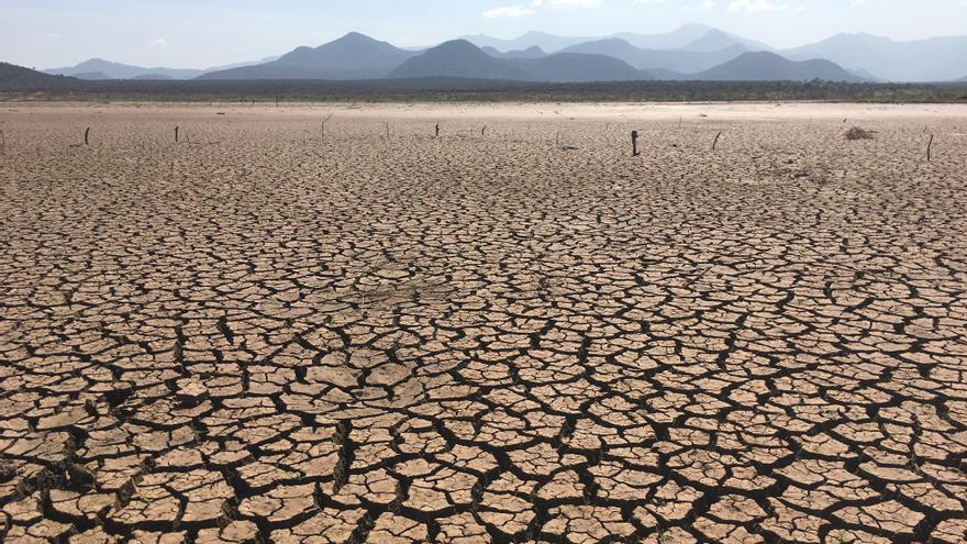 Julio de 2023 fue el mes más caliente de la historia en la Tierra