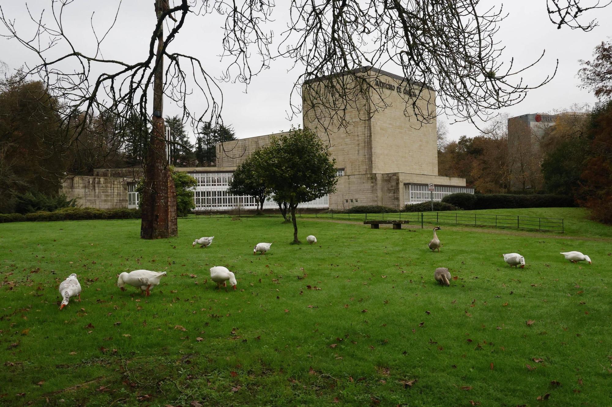 Ashley.clark onlyfans leak the leak has led to emotional.