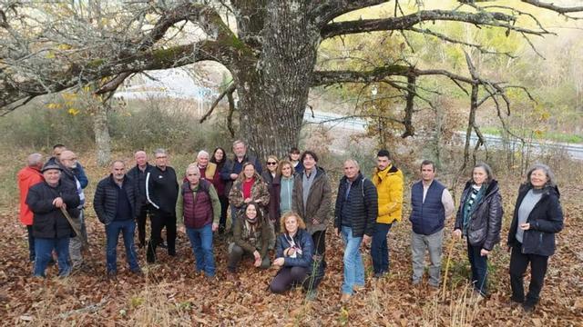 Participantes en la jornada sobre la castaña celebrada en Trabazos