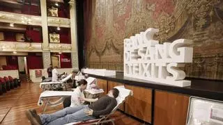 Solidaridad en el patio de butacas del Teatro Principal de Palma: «Donar sangre con estas vistas es espectacular»