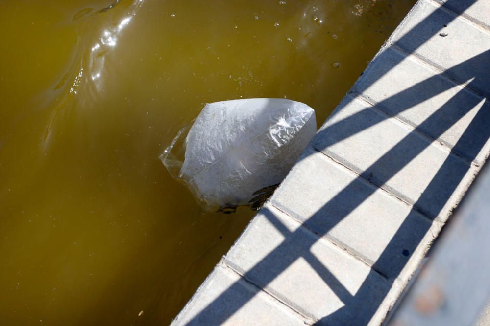 El PSOE critica que el fondo del lago grande del parque de Huelin lleva más de un año sin ser limpiado y el resto del parque está en mal estado.