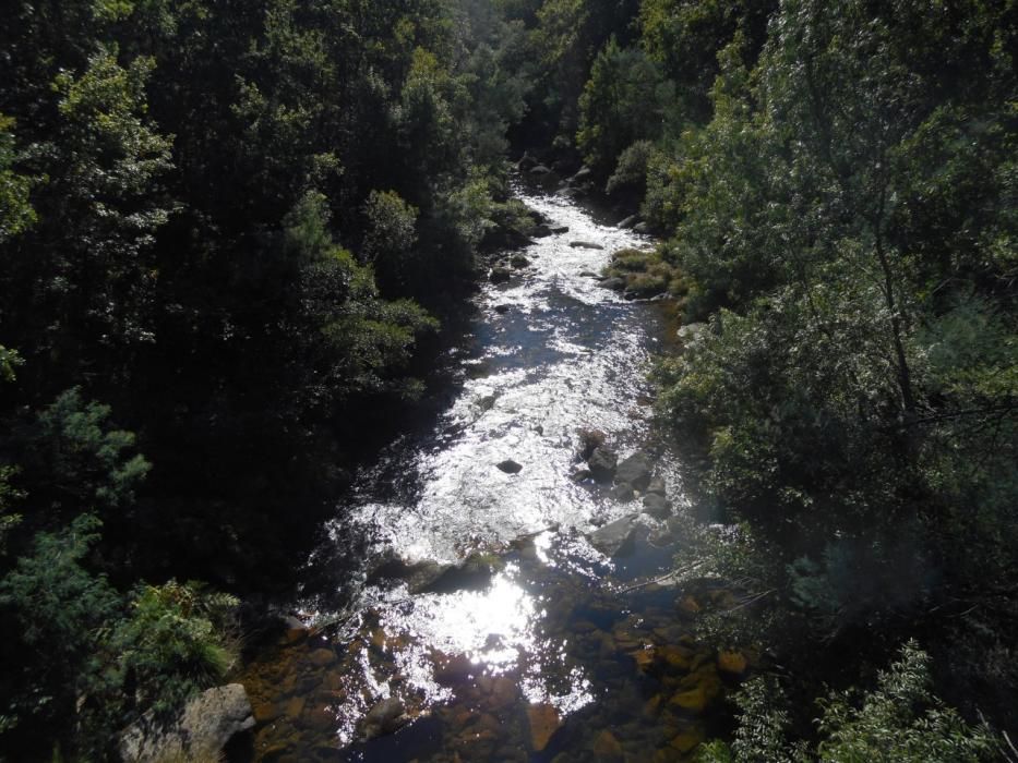 Puentes colgantes en Galicia | Así es la vertiginosa pasarela de Calvelo
