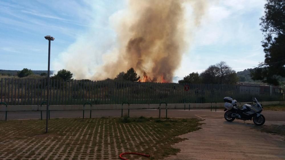 Alarma en Magaluf por un incendio en un descampado