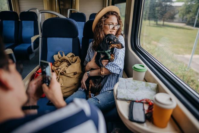 Mascota en tren