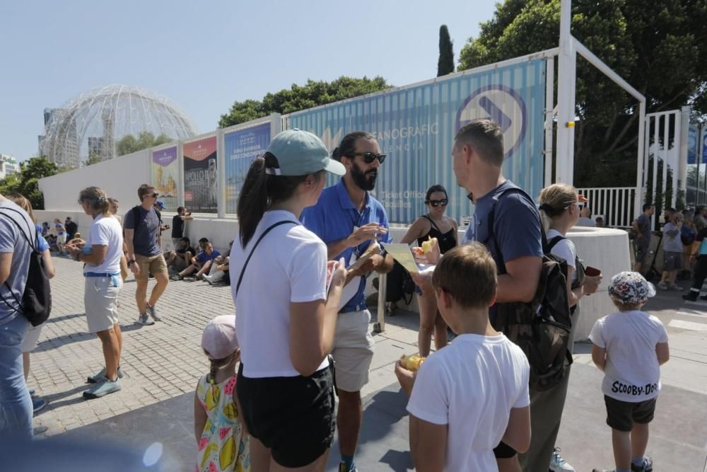 Incendio en l'Oceanogràfic de València