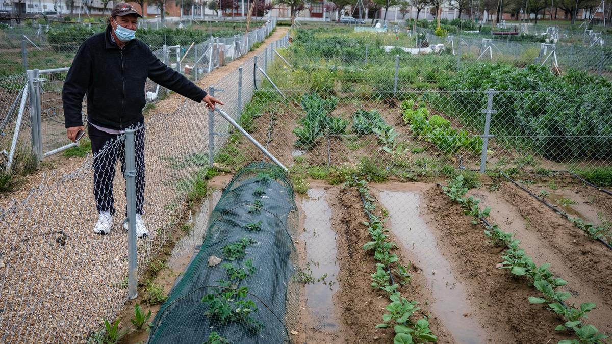 El presidente de la asociación vecinal señala uno de los huertos urbanos con agua aún estancada ayer.