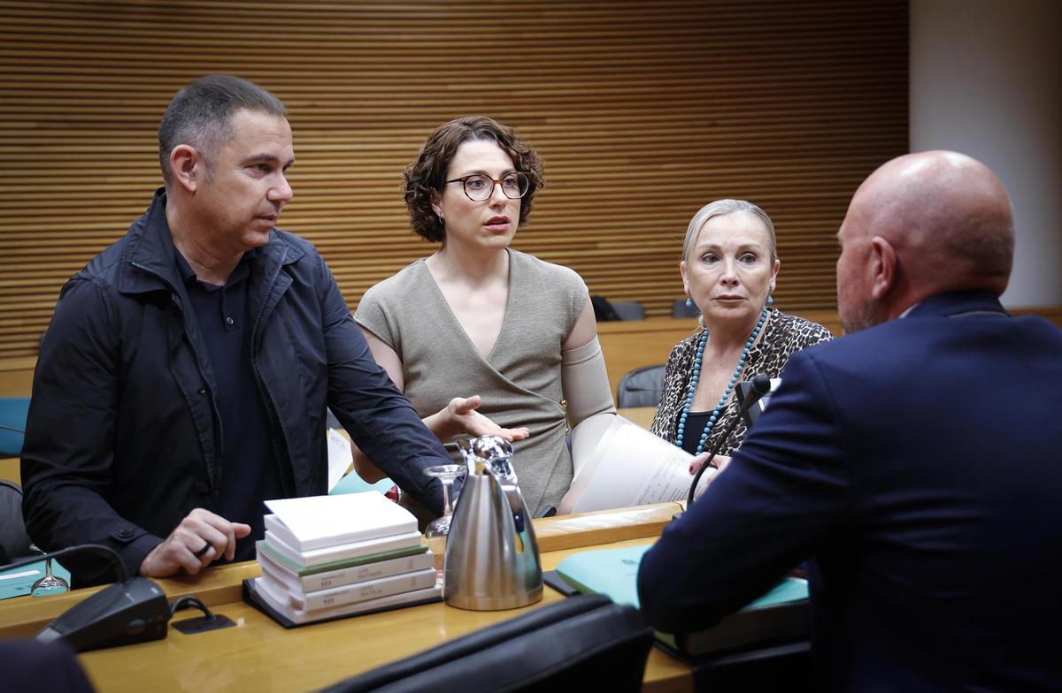 Los diputados de PSPV, Compromís y Vox, José Díez, Aitana Mas y Teresa Ramírez, antes del debate en comisión.