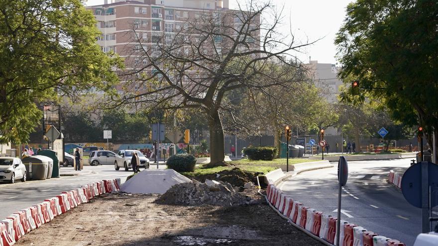 Málaga trasplantará una treintena de árboles para dar paso a las obras del metro