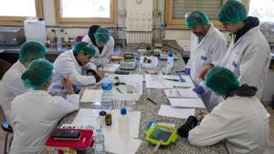 Estudiantes de Formación Profesional en un instituto público catalán.