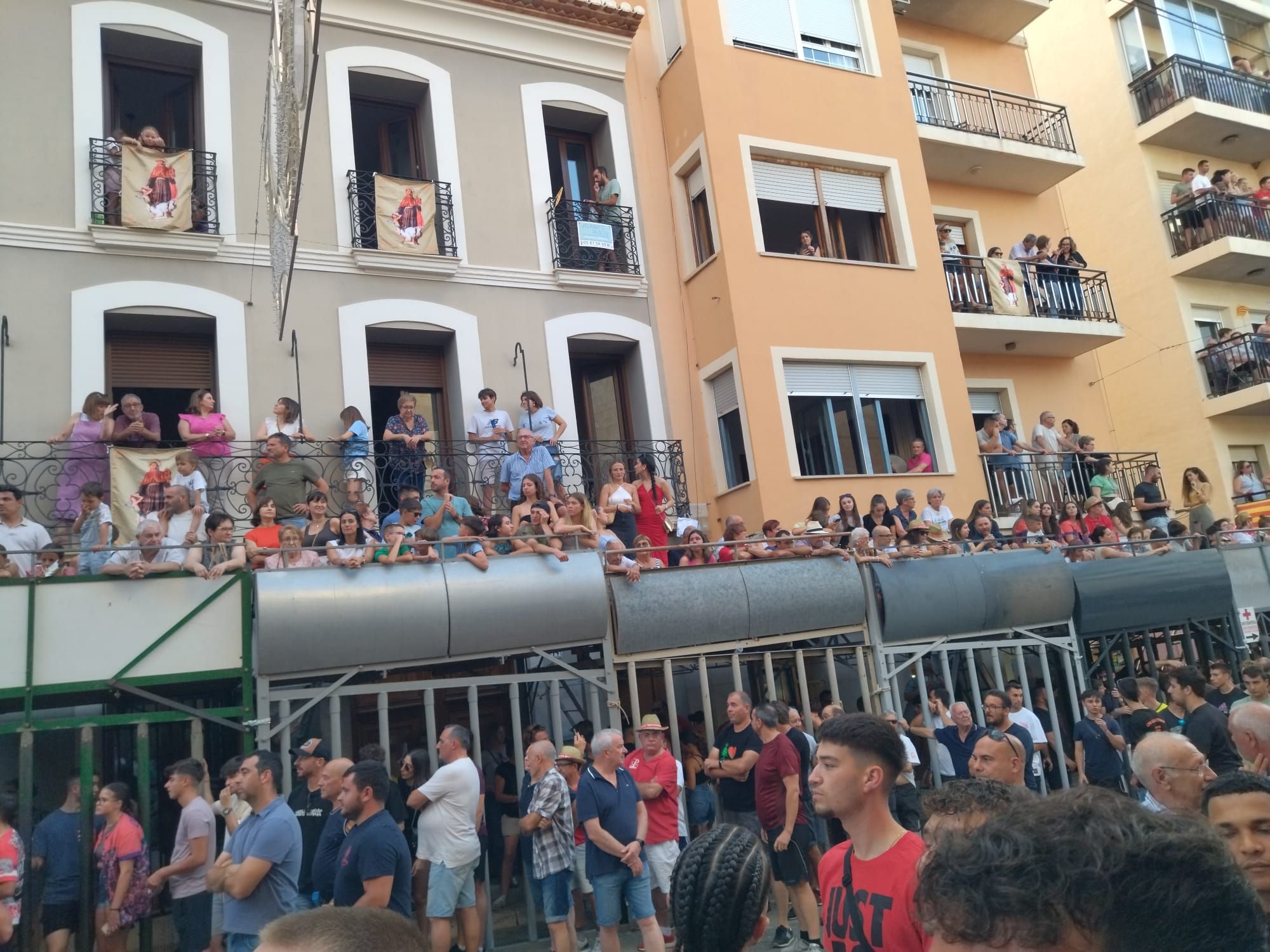 Pasión por los "bous al carrer" en Pedreguer