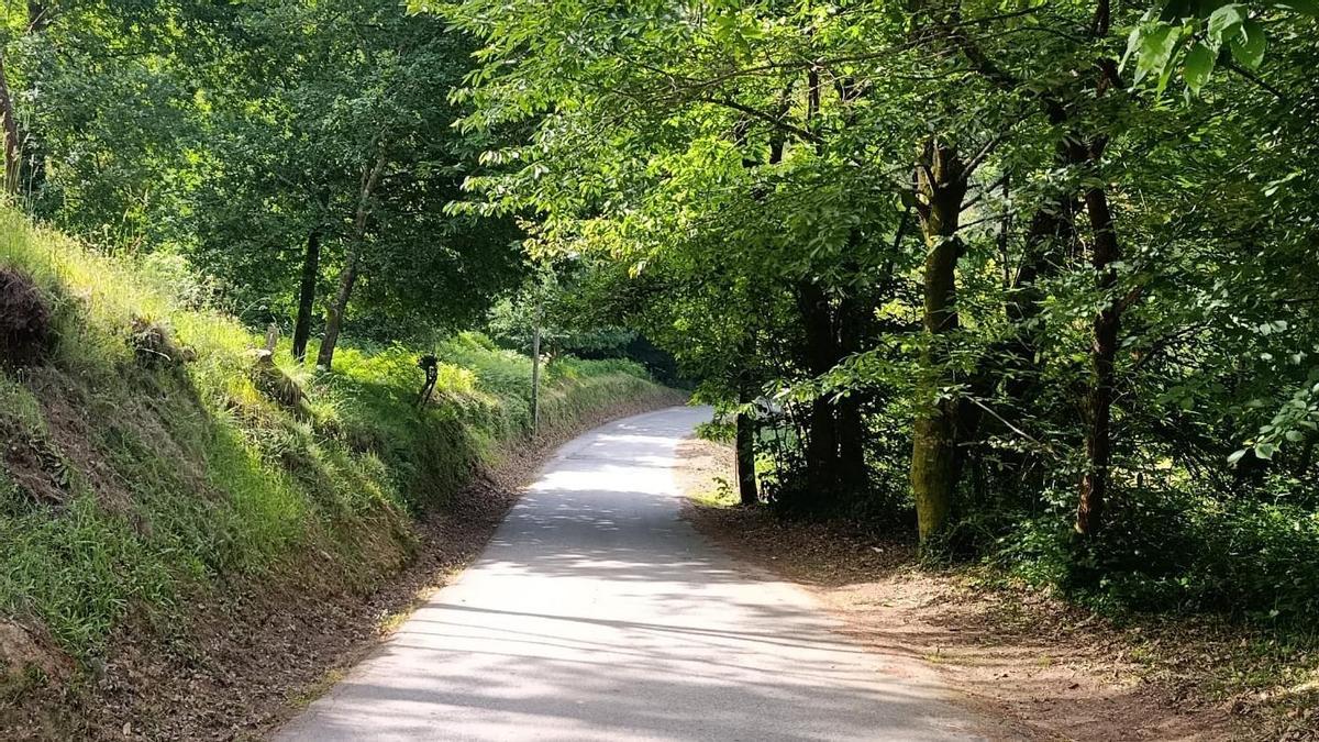 Uno de los viales de la parroquia de Quintela tras el desbroce de la maleza.
