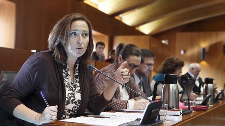 El PSOE pide la dimisión de Serrat por su &quot;acoso y derribo&quot; al campus